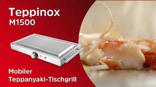 Teppinox M1500 | Alle Funktionen des Edelstahlgrills kompakt im Überblick | Techinox