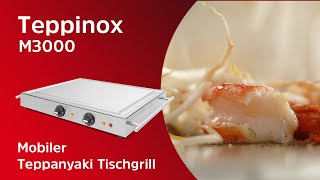 Teppinox M3000 | Alle Funktionen des Edelstahlgrills kompakt im Überblick | Techinox